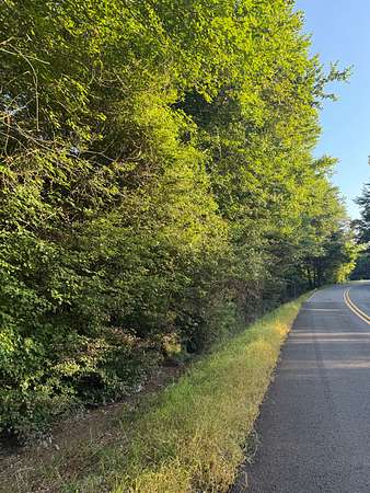 23 Acres of Recreational Land for Sale in Walnut Grove, Alabama