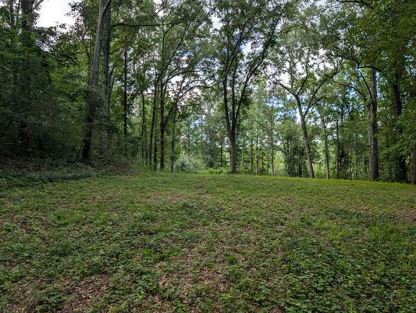 8.9 Acres of Residential Land for Sale in Troy, Alabama