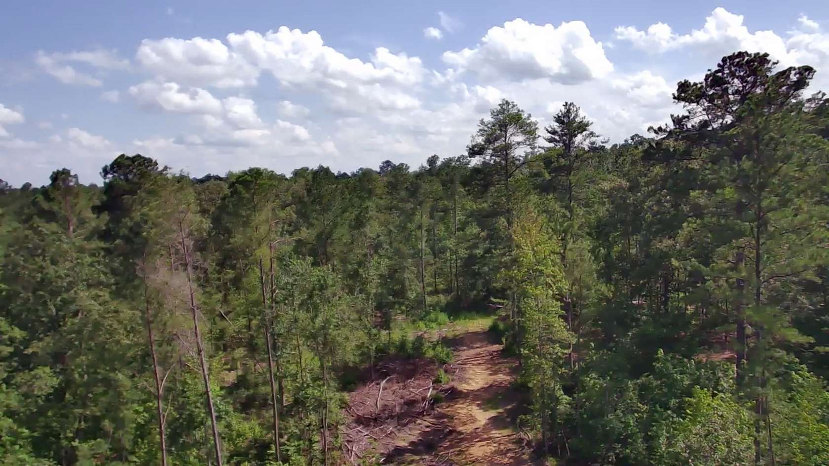 20 Acres of Recreational Land for Sale in Vincent, Alabama