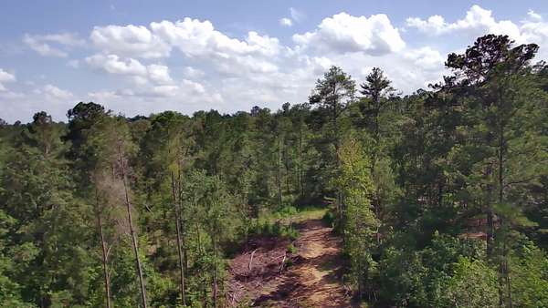 20 Acres of Recreational Land for Sale in Vincent, Alabama