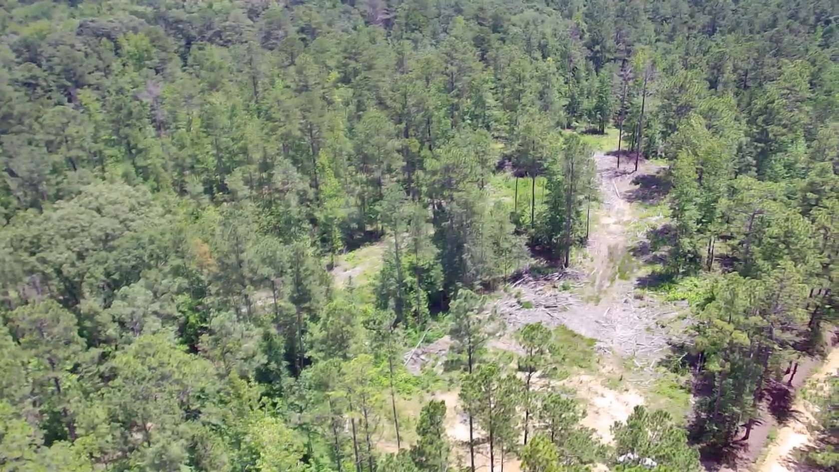 40 Acres of Recreational & Residential Land for Sale in Vincent, Alabama