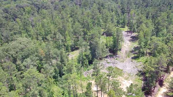 40 Acres of Recreational & Residential Land for Sale in Vincent, Alabama