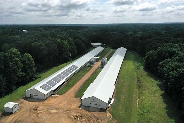 17 Acres of Agricultural Land for Sale in Sedalia, Kentucky