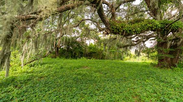 80 Acres of Recreational & Residential Land for Sale in Gautier, Mississippi