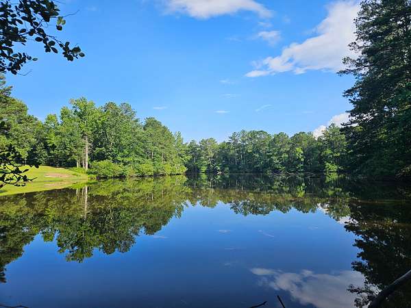 20 Acres of Recreational Land for Sale in Piedmont, Alabama