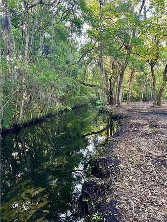 0 4 Acres of Residential Land for - Crystal River Fl 145327674