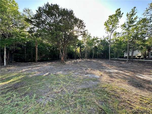 0 4 Acres of Residential Land for - Crystal River Fl 145327675