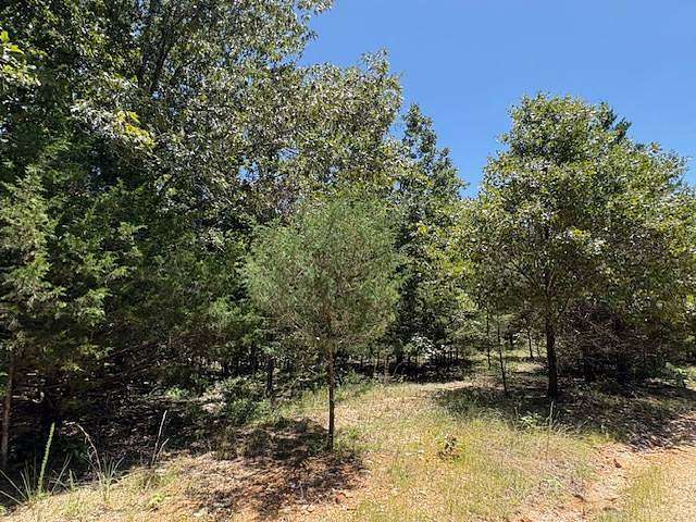 40 Acres of Recreational Land for Sale in Salem, Arkansas