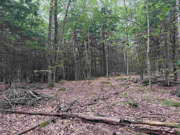 7.2 Acres of Residential Land for Sale in Hancock, New Hampshire