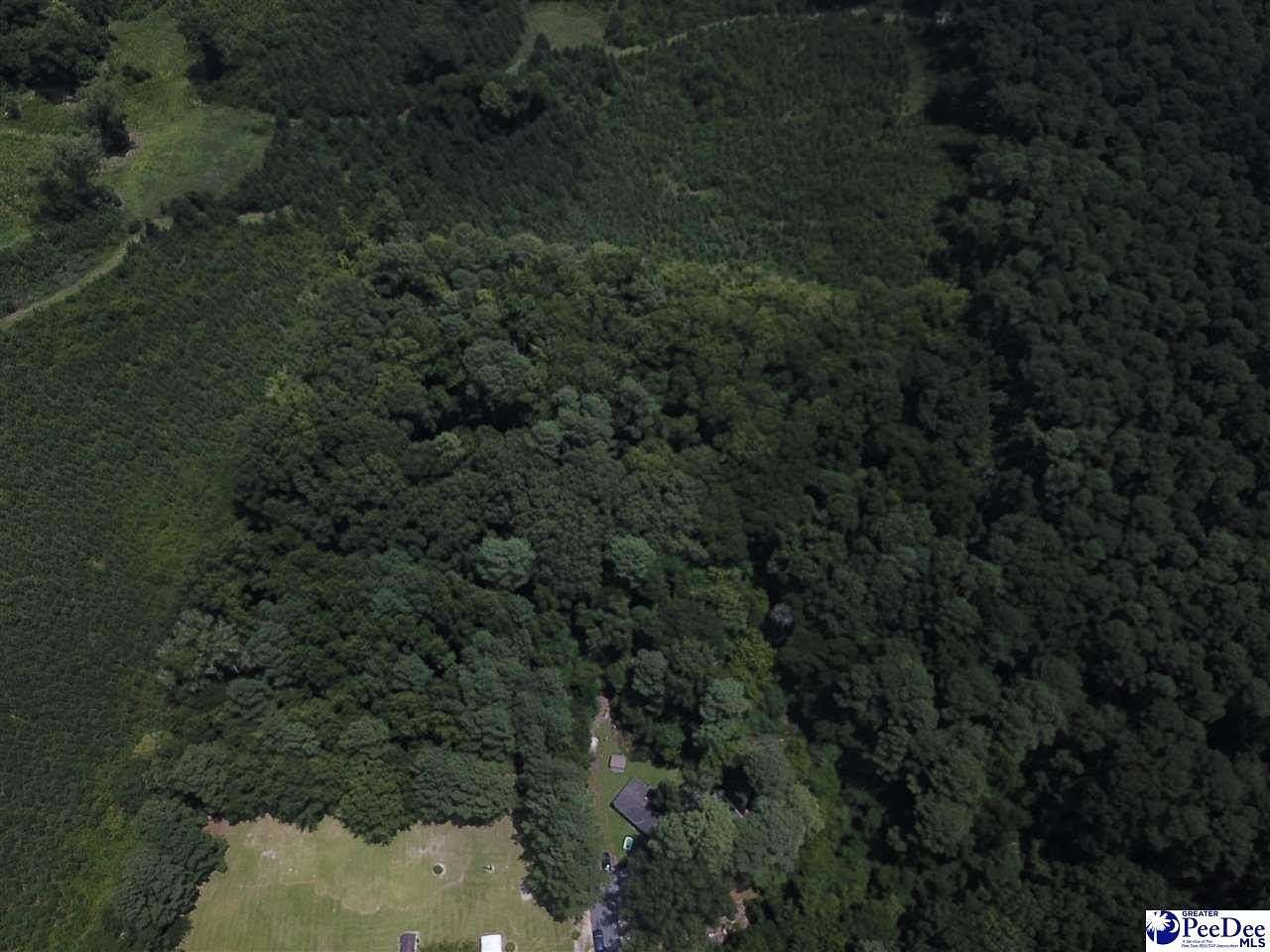 4.8 Acres of Residential Land for Sale in Society Hill, South Carolina