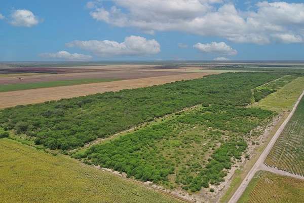 212 Acres of Improved Land for Sale in Alice, Texas