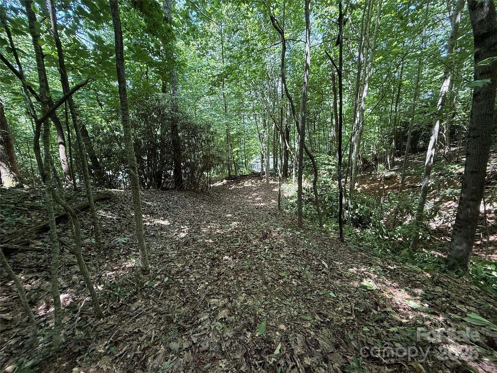 1.17 Acres of Residential Land for Sale in Fairview, North Carolina
