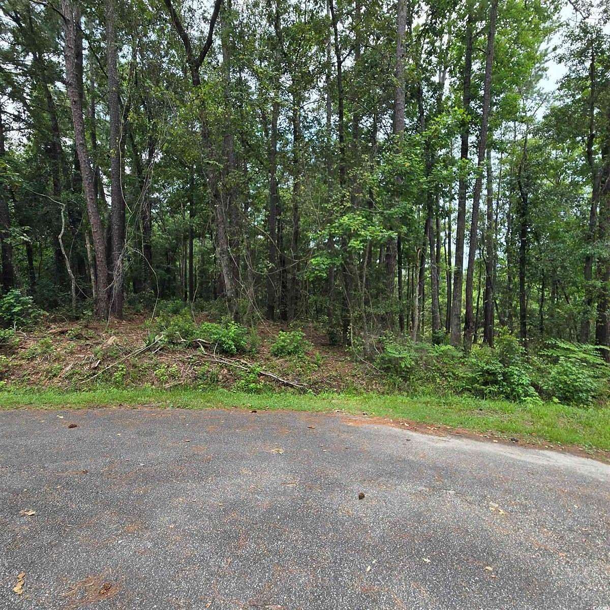 0.74 Acres of Land for Sale in Conway, South Carolina