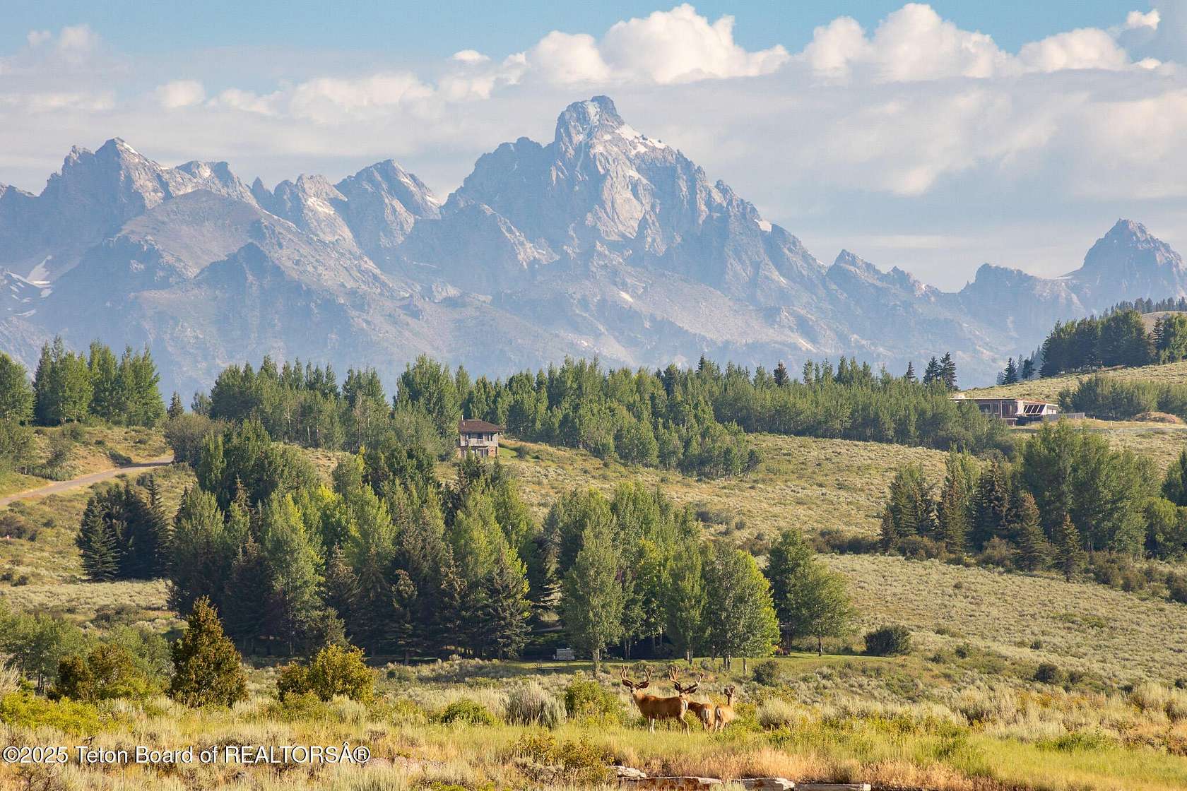 35.2 Acres of Land for Sale in Jackson, Wyoming