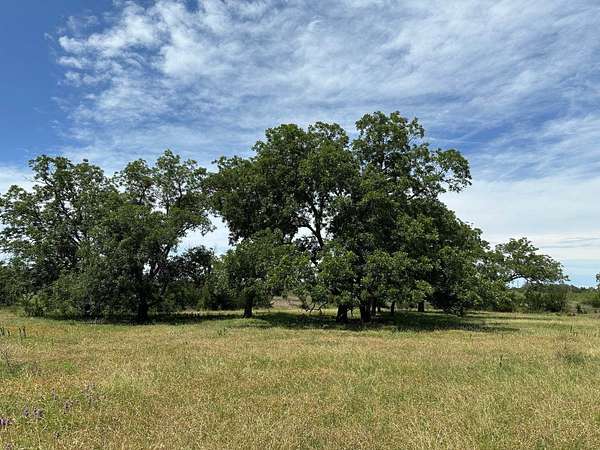 114 Acres of Recreational Land & Farm for Sale in Bertram, Texas