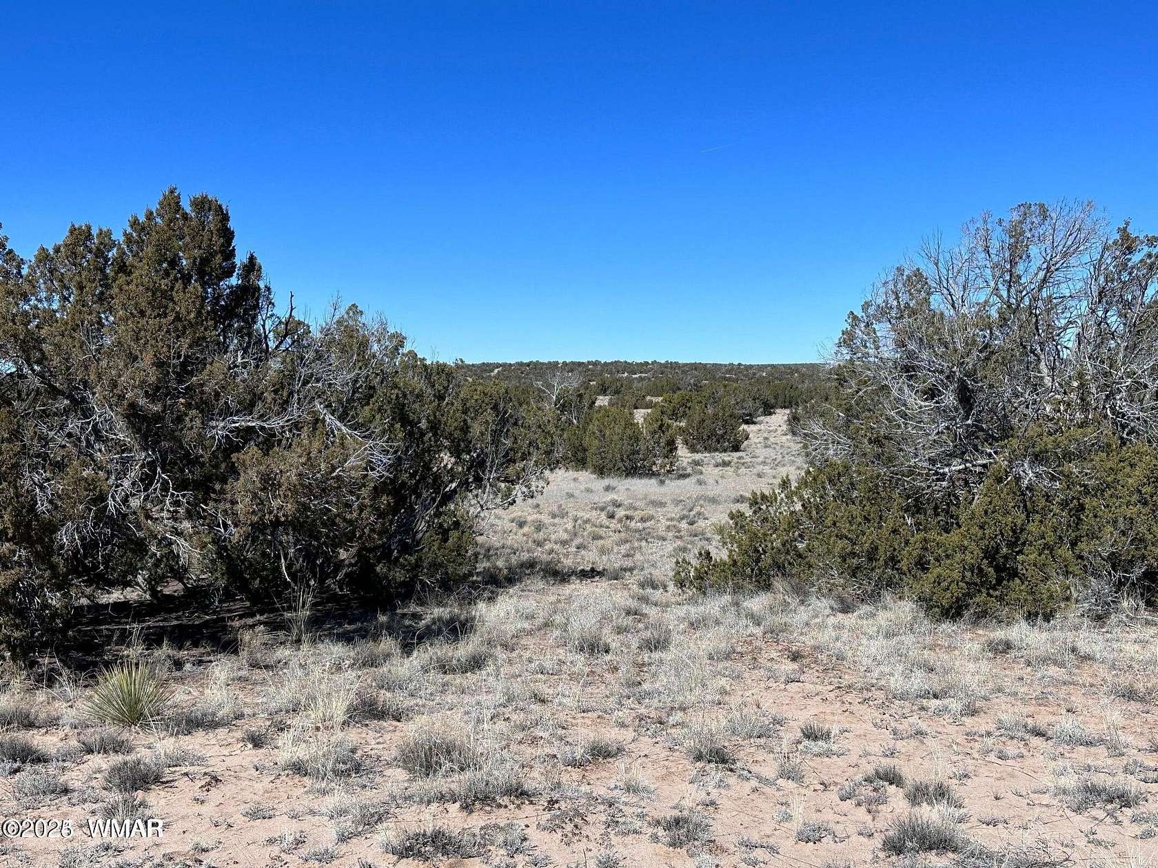 10 Acres of Residential Land for Sale in St. Johns, Arizona