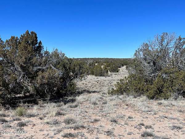 10 Acres of Residential Land for Sale in St. Johns, Arizona
