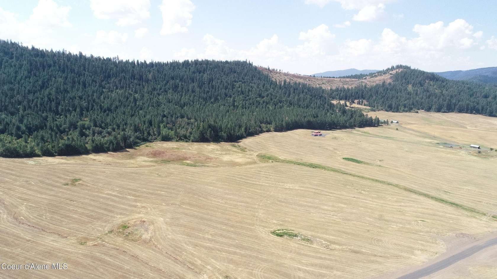 20 Acres of Land for Sale in Plummer, Idaho