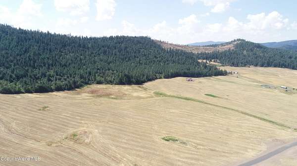 20 Acres of Land for Sale in Plummer, Idaho