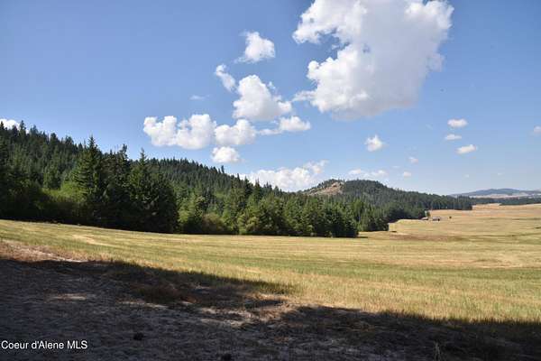 20 Acres of Land for Sale in Plummer, Idaho