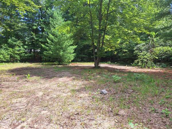 0.51 Acres of Land for Sale in Newaygo, Michigan