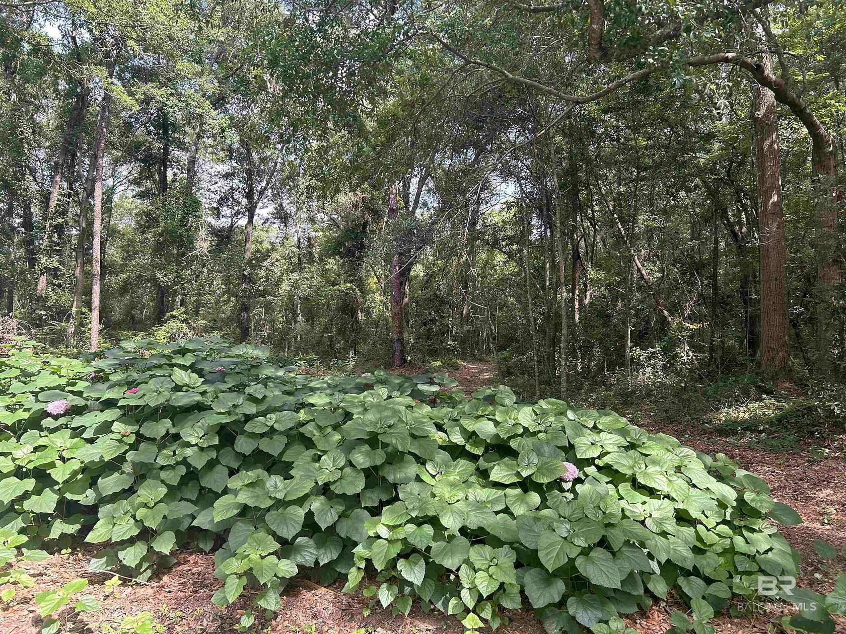 59 Acres of Land for Sale in Mobile, Alabama