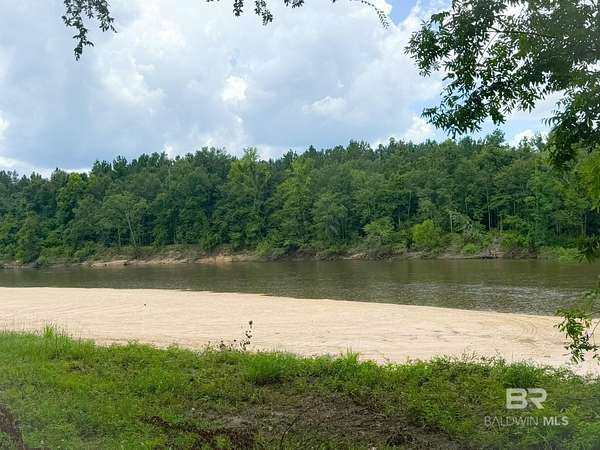 321 Acres of Recreational & Residential Land for Sale in Jay, Florida