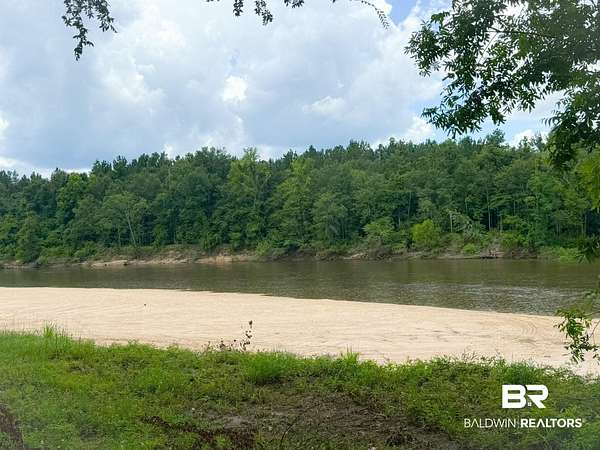 321 Acres of Recreational & Residential Land for Sale in Jay, Florida