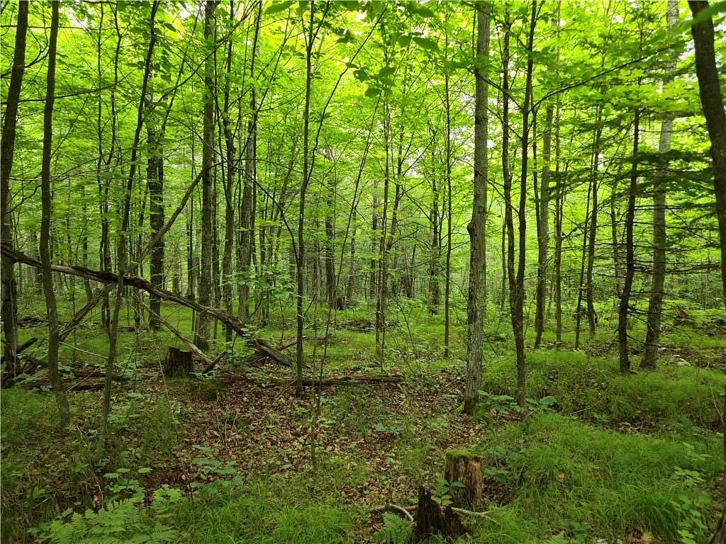 1.7 Acres of Residential Land for Sale in Cable, Wisconsin