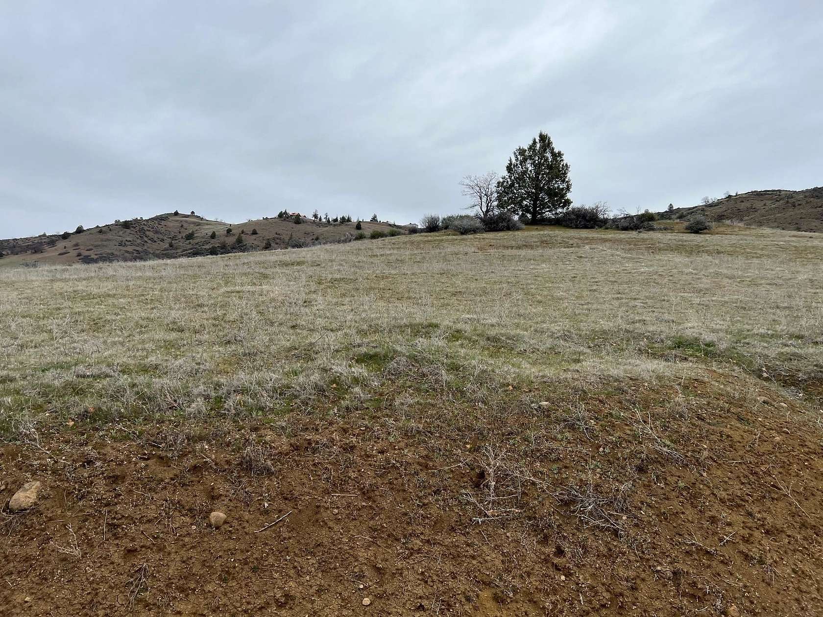 1 Acre of Residential Land for Sale in Hornbrook, California