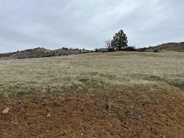 1 Acre of Residential Land for Sale in Hornbrook, California