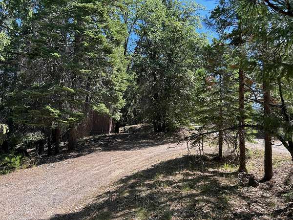 5 Acres of Residential Land for Sale in Weed, California