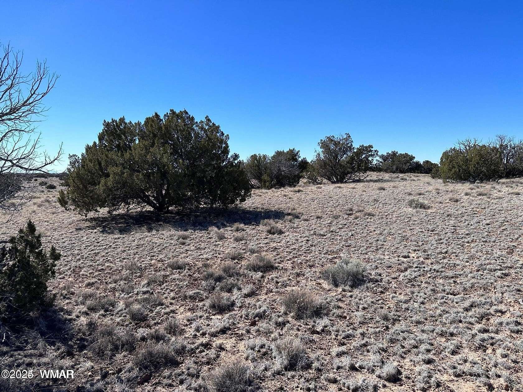 10 Acres of Land for Sale in St. Johns, Arizona