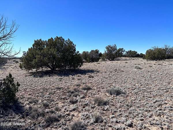 10 Acres of Land for Sale in St. Johns, Arizona