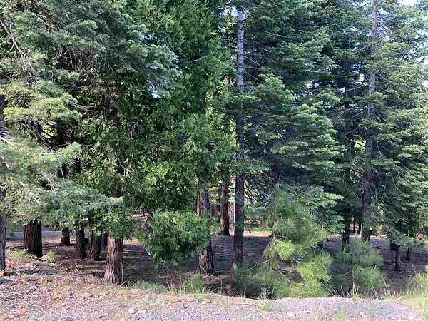 1.55 Acres of Residential Land for Sale in Lake Almanor West, California