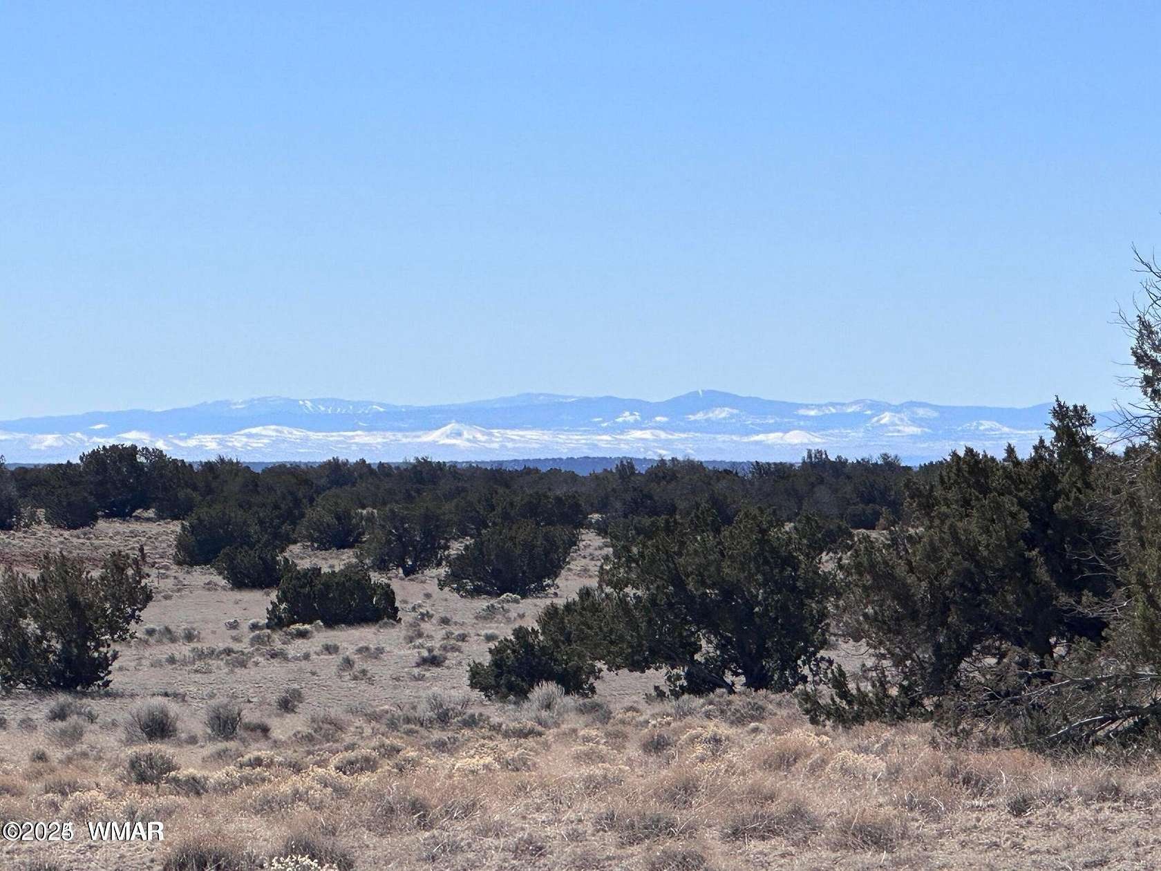 5 Acres of Land for Sale in St. Johns, Arizona