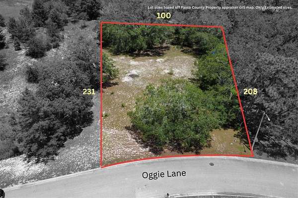 0 5 Acres of Residential Land for - Hudson Fl 145367423
