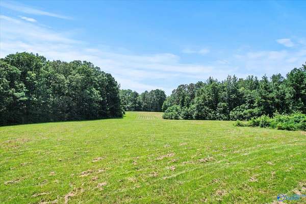 31 Acres of Land for Sale in Hartselle, Alabama