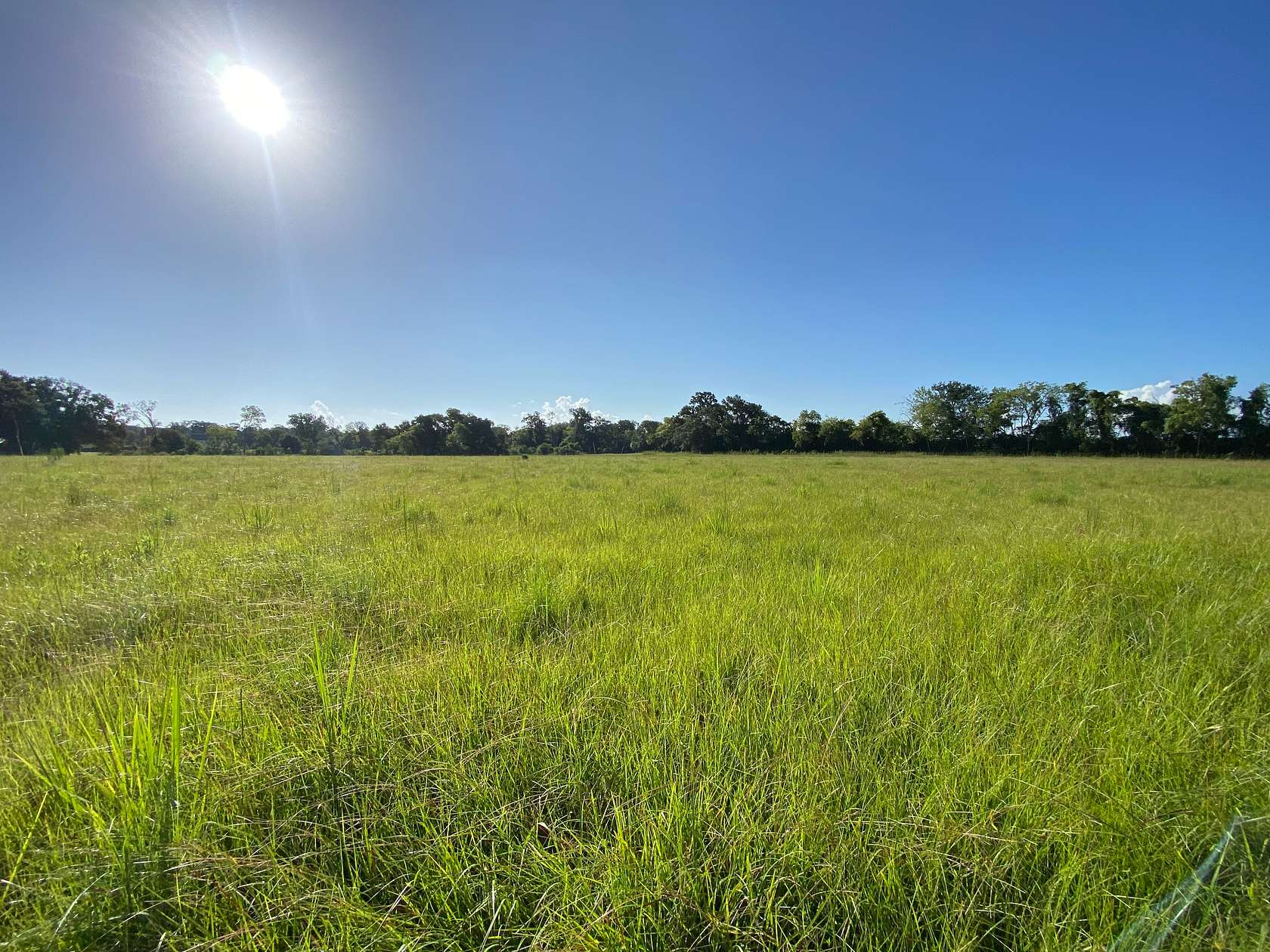 3.45 Acres of Land for Sale in Maurice, Louisiana