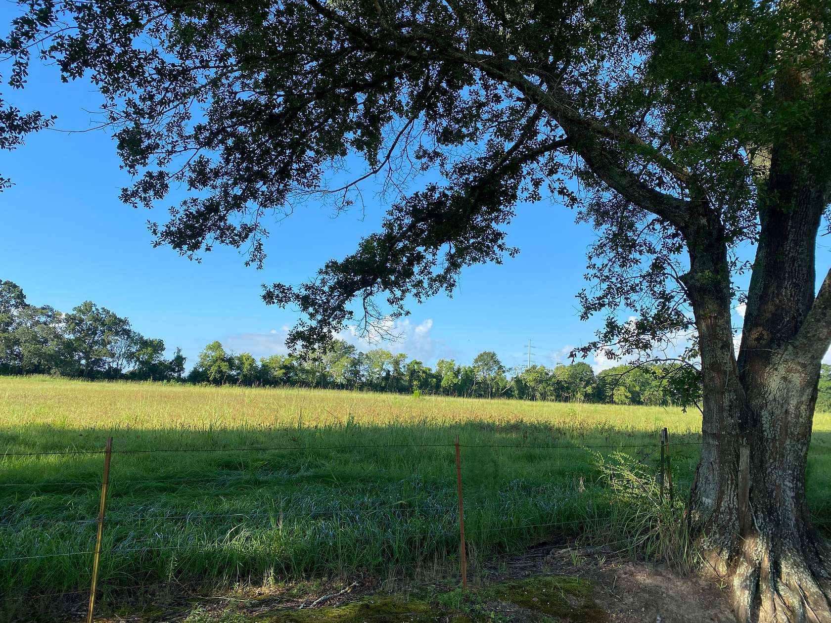 3.45 Acres of Land for Sale in Maurice, Louisiana