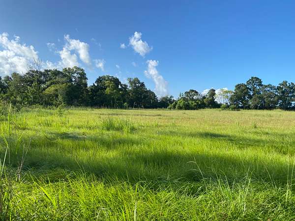 1.63 Acres of Residential Land for Sale in Maurice, Louisiana