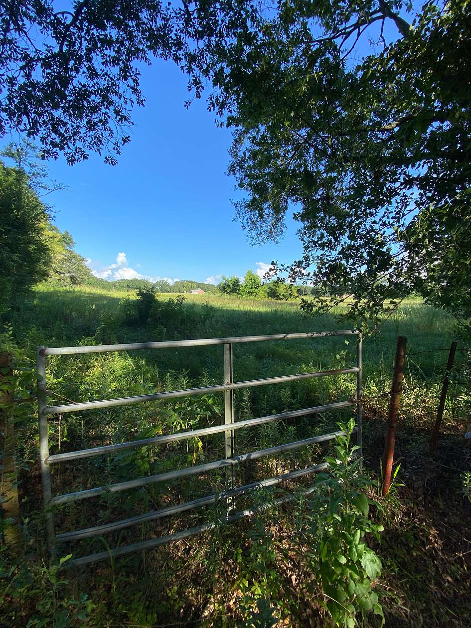 1.55 Acres of Residential Land for Sale in Maurice, Louisiana