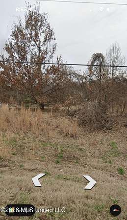 2 Acres of Residential Land for Sale in Lake Cormorant, Mississippi