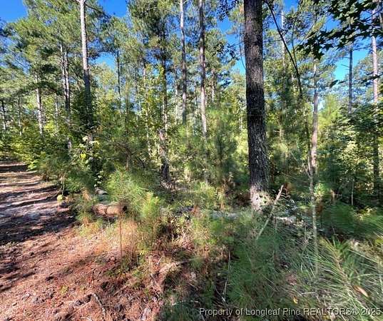 15.1 Acres of Land for Sale in Cameron, North Carolina
