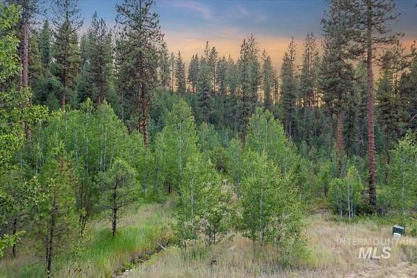 3.69 Acres of Residential Land for Sale in Idaho City, Idaho
