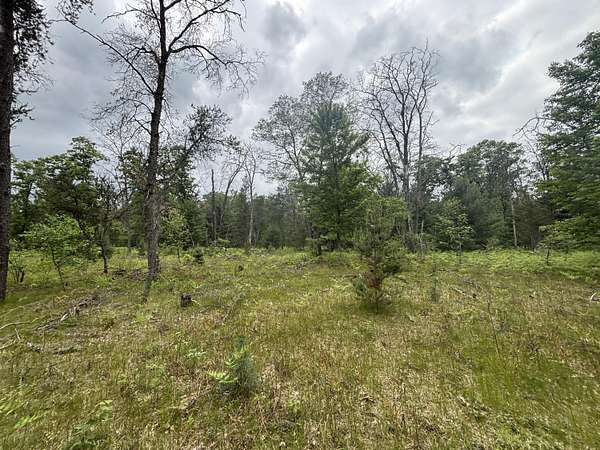 14 Acres of Recreational Land for Sale in Bitely, Michigan