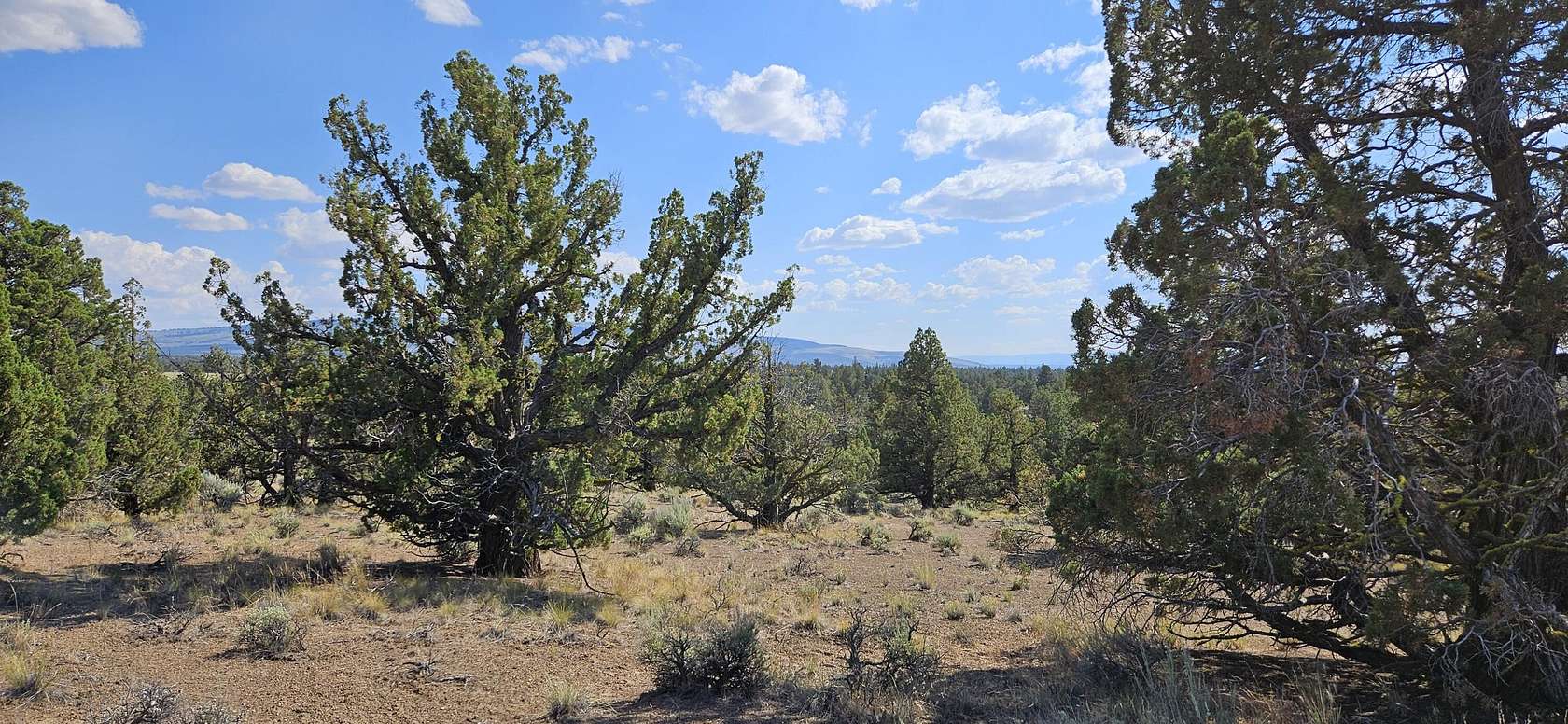 10 Acres of Recreational Land for Sale in Prineville, Oregon