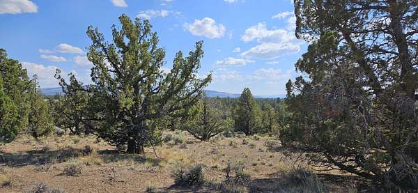 10 Acres of Recreational Land for Sale in Prineville, Oregon