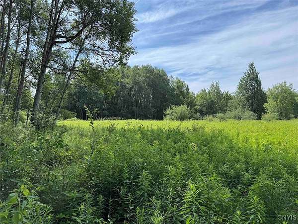 10 Acres of Land for Sale in Alfred, New York