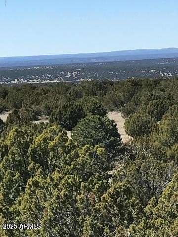 39.9 Acres of Land for Sale in Concho, Arizona